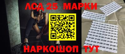 прущие грибы Усть-Джегута