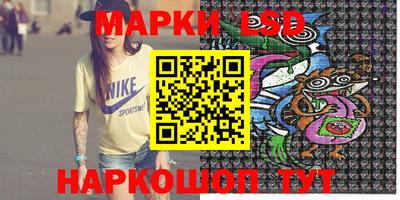 прущие грибы Усть-Джегута