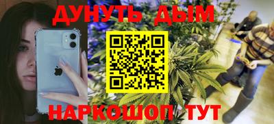 прущие грибы Усть-Джегута