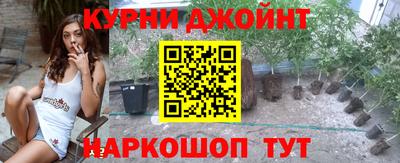 прущие грибы Усть-Джегута