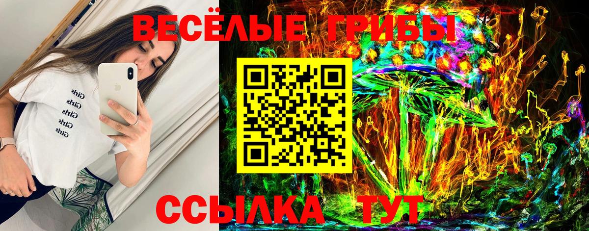 Alpha PVP СК кристаллы  Норильск  Вход с VPN  МЕФ   Бошки Шишки  Гашиш 
