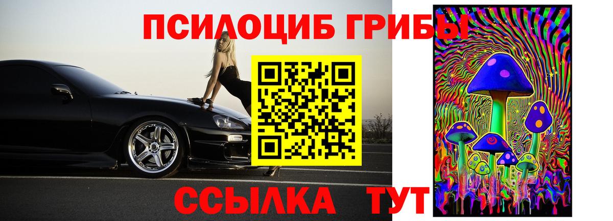 Норильск  Псилоцибиновые грибы Psilocybine cubensis  даркнет сайт  Вход с VPN 
